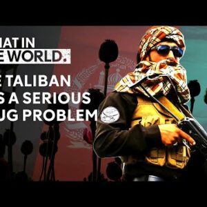 Afghanistan ban could ruin global drug supply