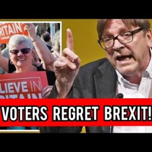 Voters regret Brexit!' Verhofstadt calls for Britain to create 'pro-European renaissance'