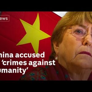 China treatment of Uyghurs may amount to crimes against humanity, says UN