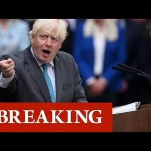 Brexit 'in peril', Leaver declares as he backs Boris return to save party