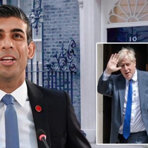 Boris Johnson dropped out of the race, ceding the British prime ministership to Rishi Sunak.