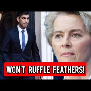 Won't ruffle feathers': Brexit warning as Rishi Sunak branded 'fearful of upsetting EU'