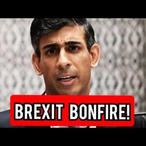 Sunak urged to press ahead with 'Brexit bonfire' as voters do not back PM on EU issues