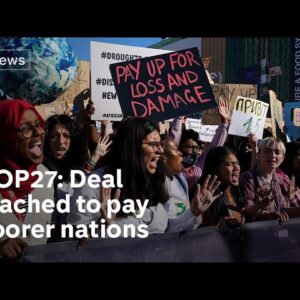 COP27: Historic ‘loss and damage’ deal reached at climate talks