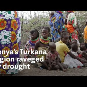 Drought wipes out livestock and causes hunger crisis in Kenya