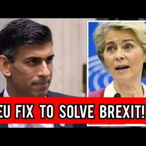 Rishi Sunak handed EU fix to solve Brexit conundrum over unnecessary border checks