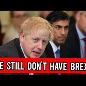 We still don't have Brexit!' Boris and Rishi savaged as UK still 'joined at hip with EU'