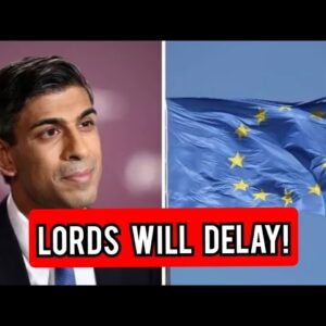 Lords 'will delay' Rishi Sunak's plans to remove 4,000 EU laws by the end of the year