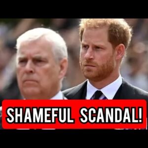 Prince Harry labels Prince Andrew's involvement with Jeffrey Epstein a 'shameful scandal'