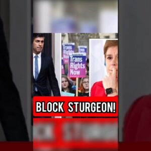 Public back Rishi Sunak's decision to block Sturgeon's Scottish gender recognition bill