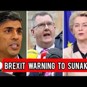 Brexit warning to Sunak - even Remainers won't accept a Northern Ireland sellout to the EU