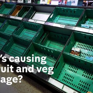 Fruit and veg shortage: what has caused it and how long will it last?