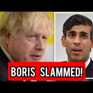 Boris slammed for hypocrisy over Brexit intervention but Sunak ordered to stand up to EU