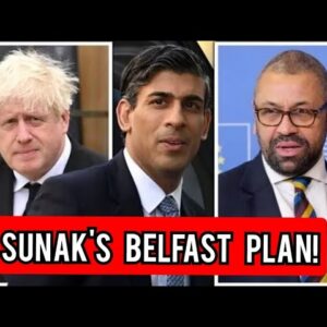 Talks in EU are a smokescreen – Sunak's Belfast 'plan' has left loyal Brexiteers stunned