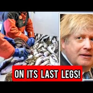 UK fishing industry 'on its last legs' as Tories accused of 'betraying' coastal towns