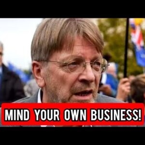 Mind your own business!' Verhofstadt torn apart after he claims Brexit 'cannot work'