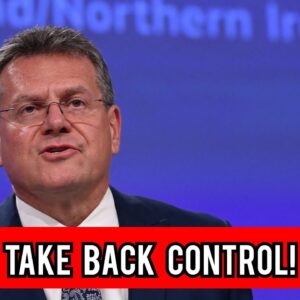 EU chief privately admits to MEPs that Sunak’s Brexit deal fails to 'take back control'