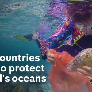 UN agrees major treaty to protect Earth’s oceans