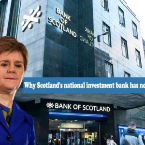 Why Scotland's national investment bank has no SEO after a year..